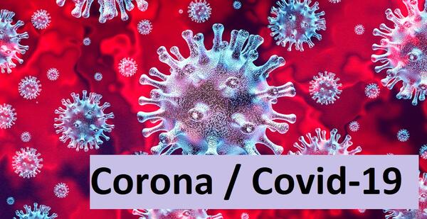Bild vergrößern: Darstellung des Corona-Virus