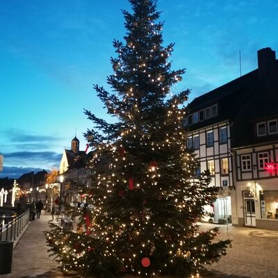 Bild vergrößern: Der Marktplatz bietet Platz für diesen imposanten Weihnachtsbaum