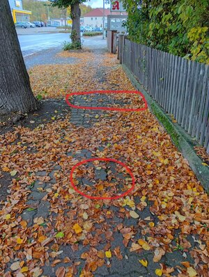 Mngelmelder / Stadt Bad Salzdetfurth